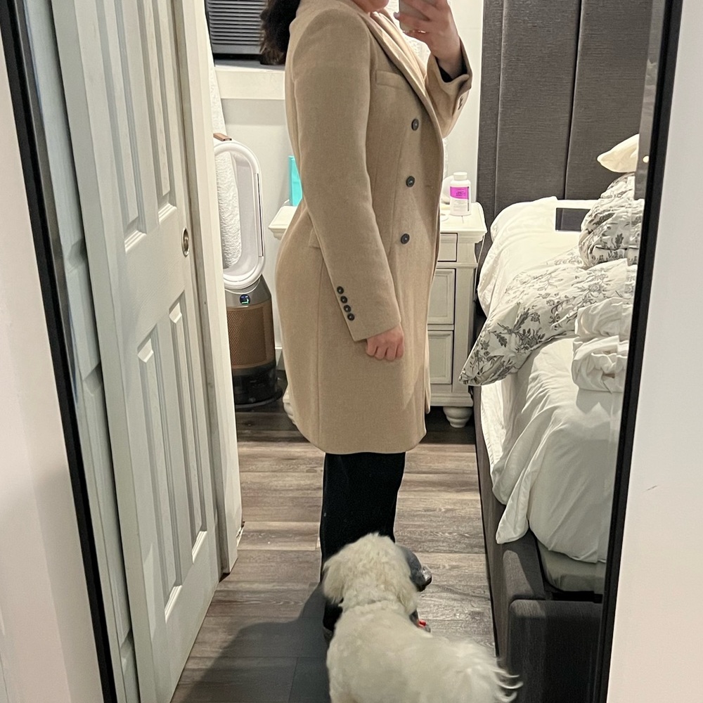 Zara Coat - Picture 7 of 8